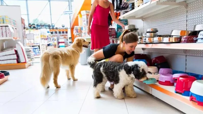 Foto do estabelecimento 1