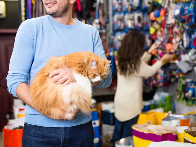 Foto do estabelecimento 3